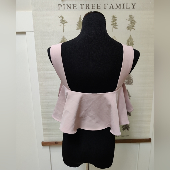 Milly Blush Ruffle Crop Top NWT - 4 - Picture 6 of 11